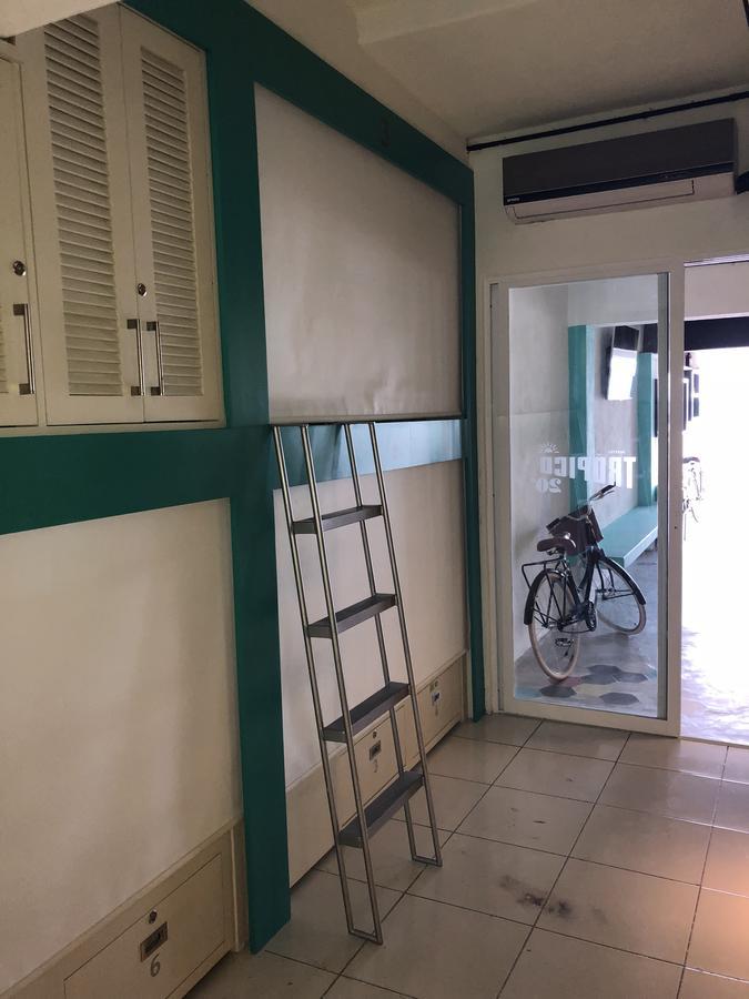 Hostel Frente Al Mar Tropico 20º 코수멜 외부 사진