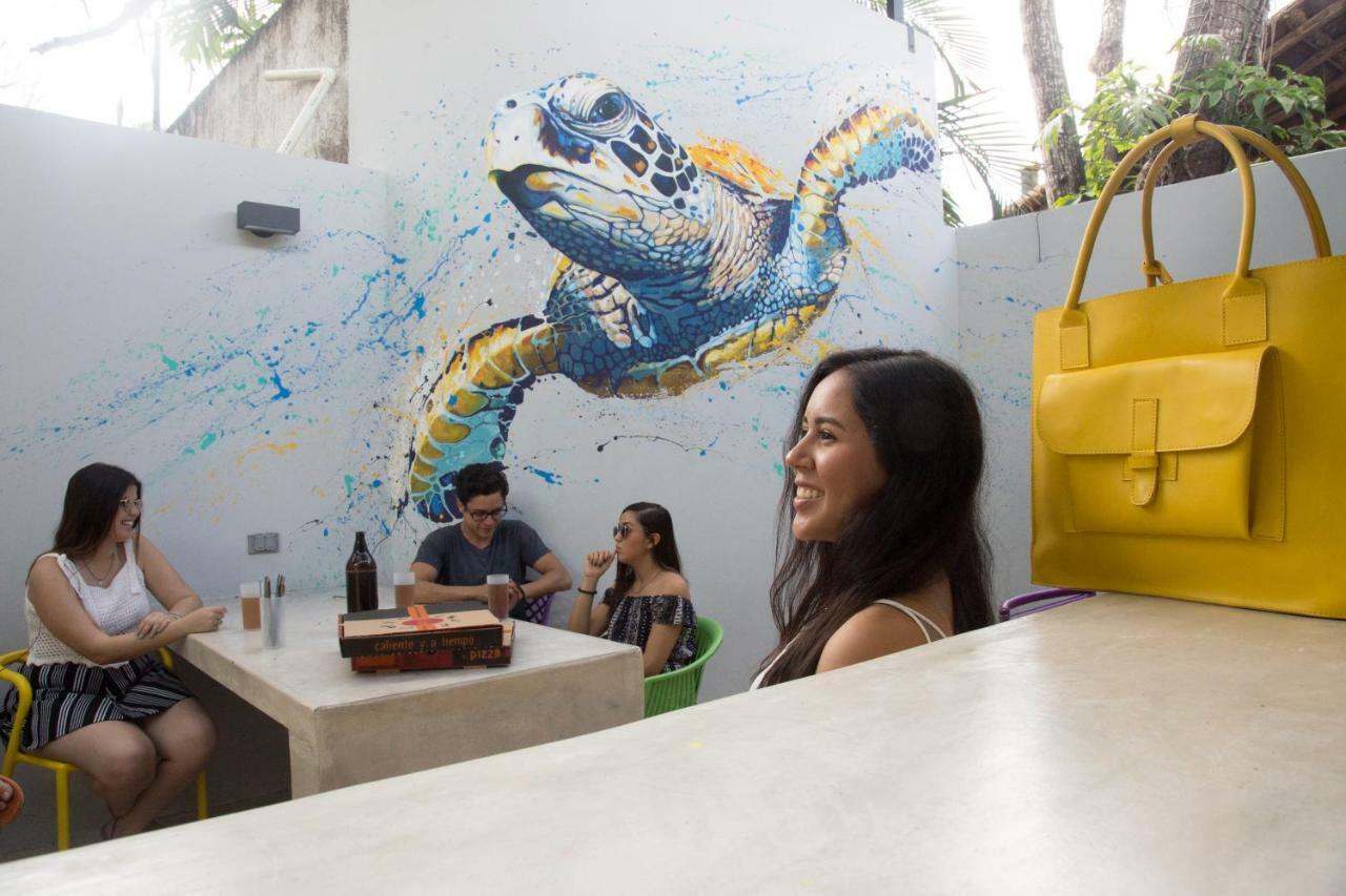 Hostel Frente Al Mar Tropico 20º 코수멜 외부 사진