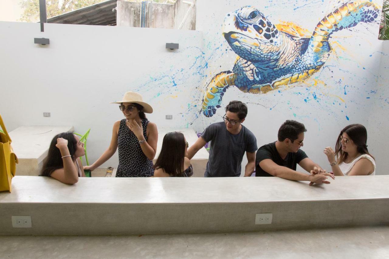 Hostel Frente Al Mar Tropico 20º 코수멜 외부 사진